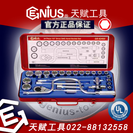 츳GS-424S5츳GS-424S5츳24ӢͲװGENIUS GS-424S5