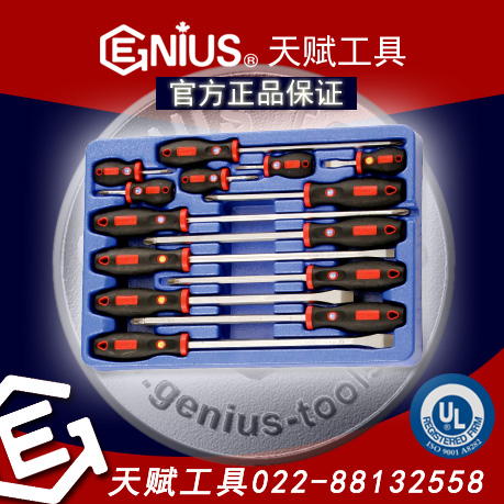天赋工具,GENIUS MS-014，GENIUS综合螺丝批组套装，天赋工具MS-014，天赋工具14件套综合螺丝批组套装