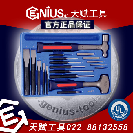 天赋工具,GENIUS MS-019，GENIUS汽车综合工具套装，天赋工具MS-019，天赋工具19件套敲击工具组套装